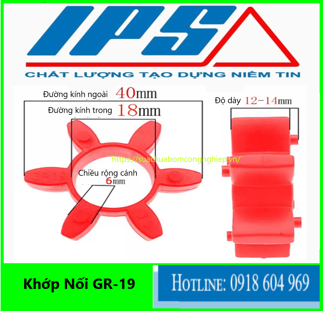 Khớp Nối GR-19(18).